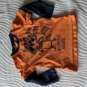 Raccoon long sleeve tee